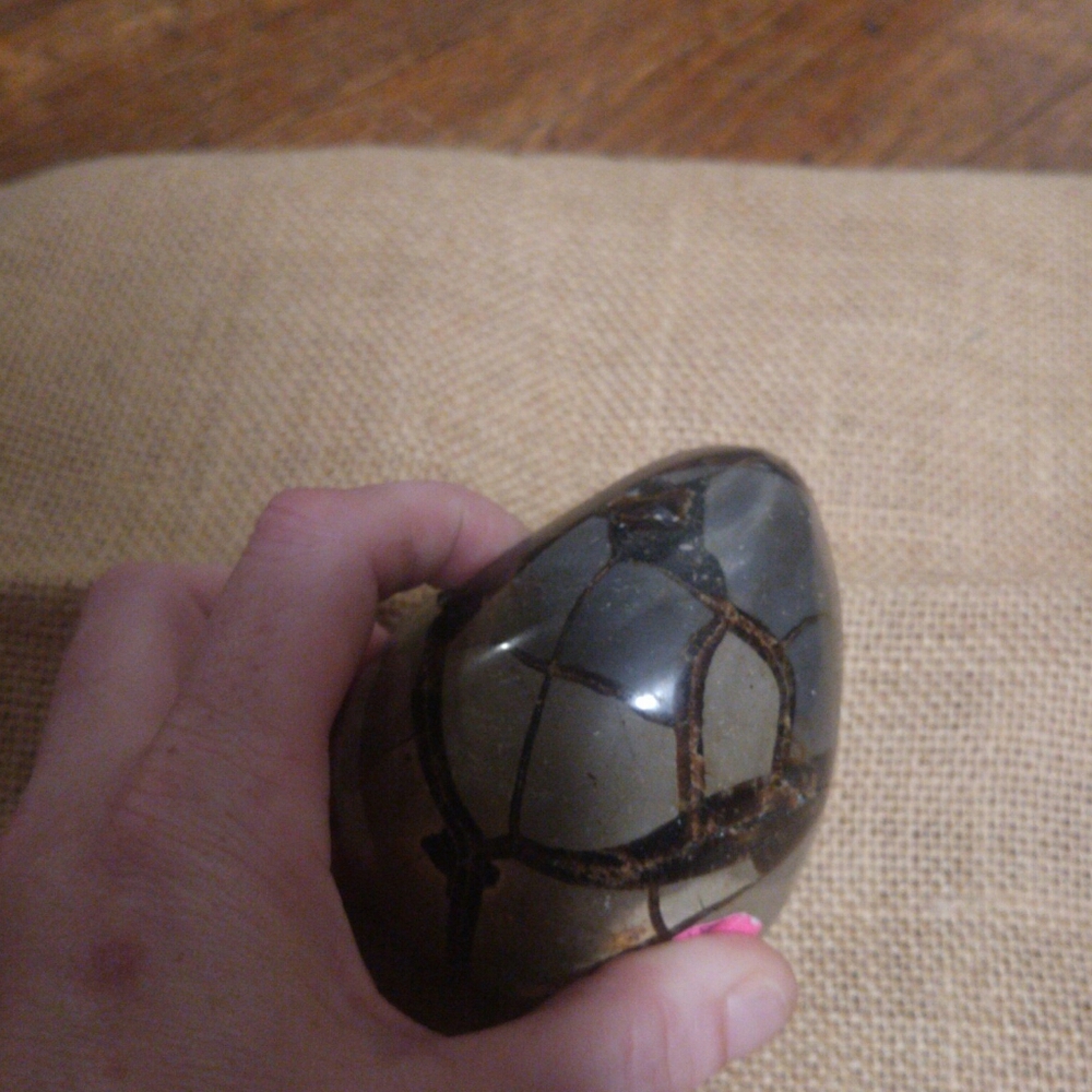 "Dragon egg" septarian.